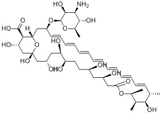 Amphotericin B图片