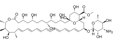 Amphotericin B methyl ester图片