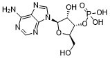 3'-Adenylic acid图片