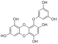 EckolͼƬ