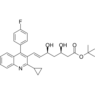 tert-Buthyl Pitavastatin图片