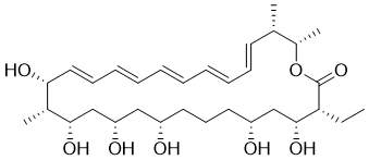 AB023b图片