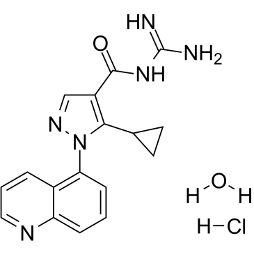 Zoniporide HCl hydrate(CP597396)图片