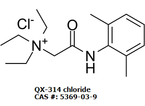 QX-314 chloride图片