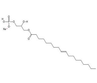 Lysophosphatidic acid图片