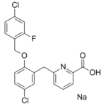 GSK-269984A图片