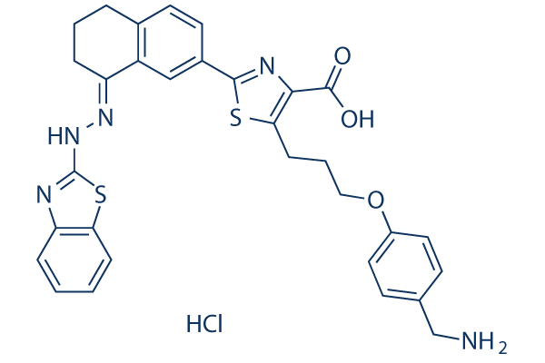 WEHI-539 hydrochloride图片