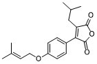 camphorataanhydride A图片