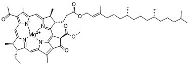 Bacteriochlorophyll a图片