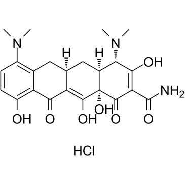 Minocycline HCl图片