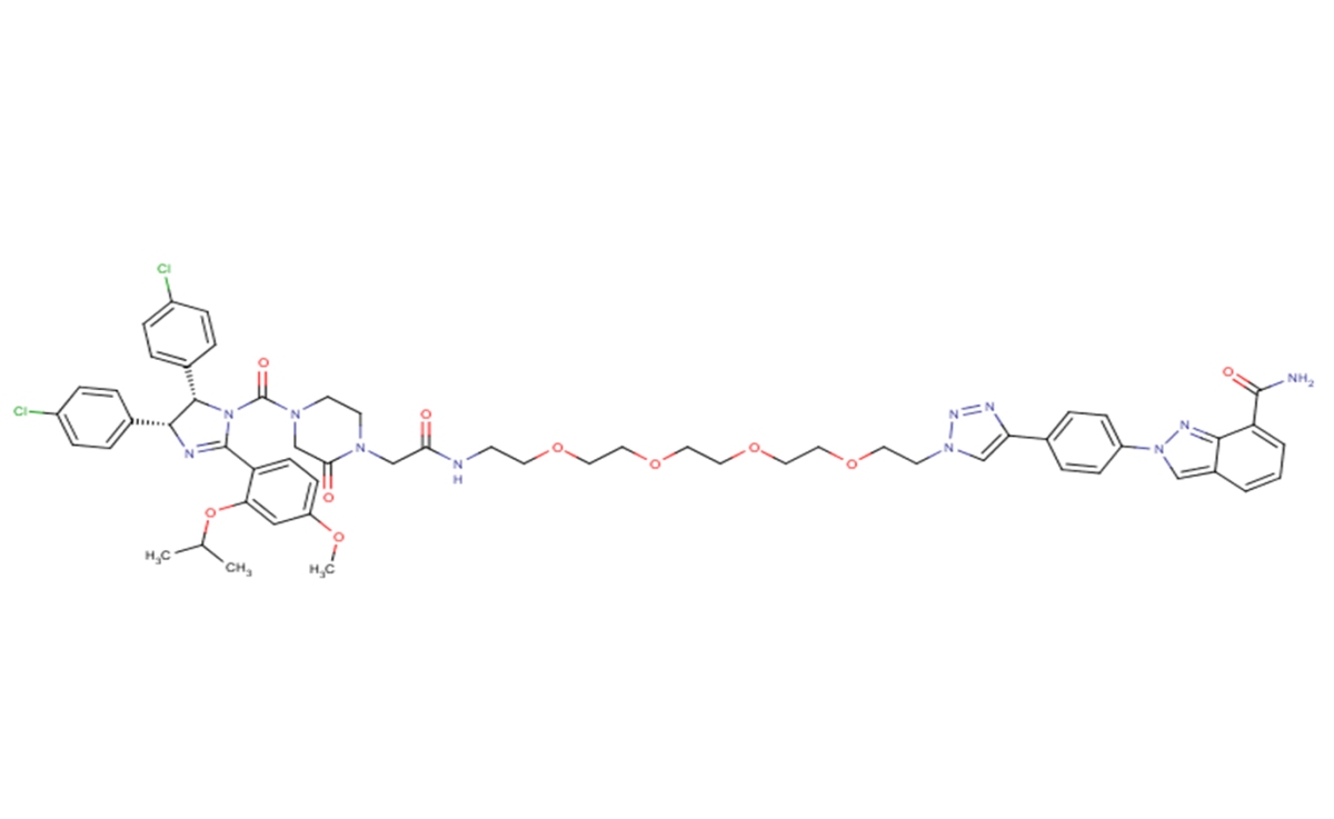 PROTAC PARP1 degrader图片