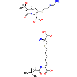 Imipenem-Cilastatin sodium hydrateͼƬ