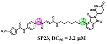 SP-23图片