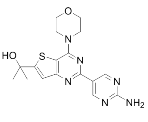 GNE-493图片