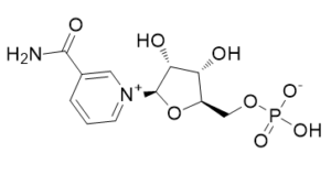 β-Nicotinamide mononucleotide图片