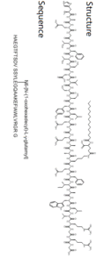Liraglutide图片