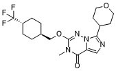 DSR-141562图片