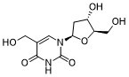 5-Hydroxymethyldeoxyuridine图片