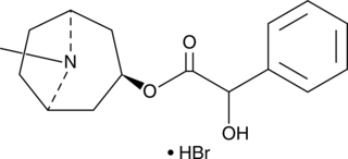 Homatropine Bromide(Homatropine hydrobromide)图片