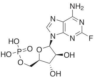 Fludarabine Phosphate(NSC 118218)ͼƬ