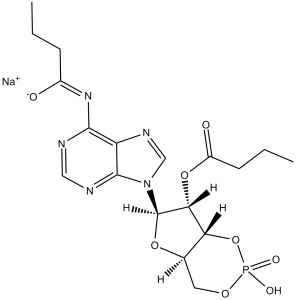 Dibutyryl-cAMP(Bucladesine sodium)图片
