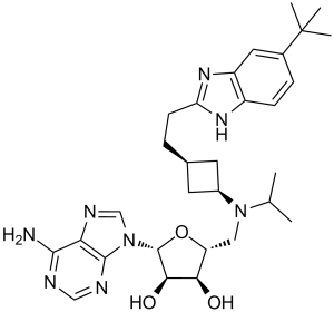 Pinometostat(EPZ-5676)图片