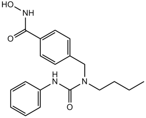 Nexturastat A(AG-CR1-3901)图片