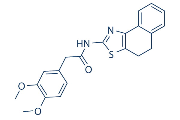 ZINC00881524(ROCK inhibitor)ͼƬ