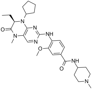 BI 2536图片