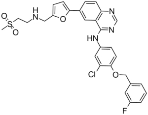 Lapatinib(GW-572016,Tykerb,Tyverb)ͼƬ