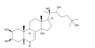 20-Hydroxyecdysone图片