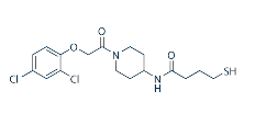 K-Ras(G12C)inhibitor 6ͼƬ