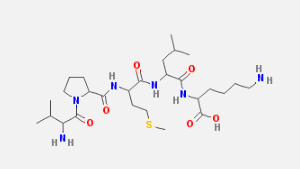 Bax inhibitor peptide V5ͼƬ