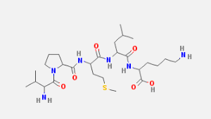 Bax inhibitor peptide V5图片