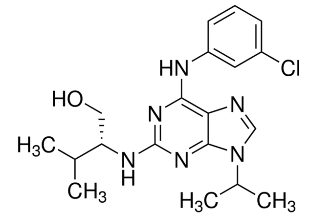 Purvalanol AͼƬ