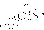 Betulinic acid图片