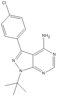PP2图片