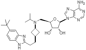 EPZ-5676(Pinometostat)图片