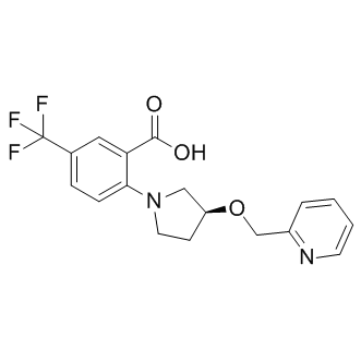 XEN445图片