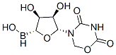 5-BrdU图片
