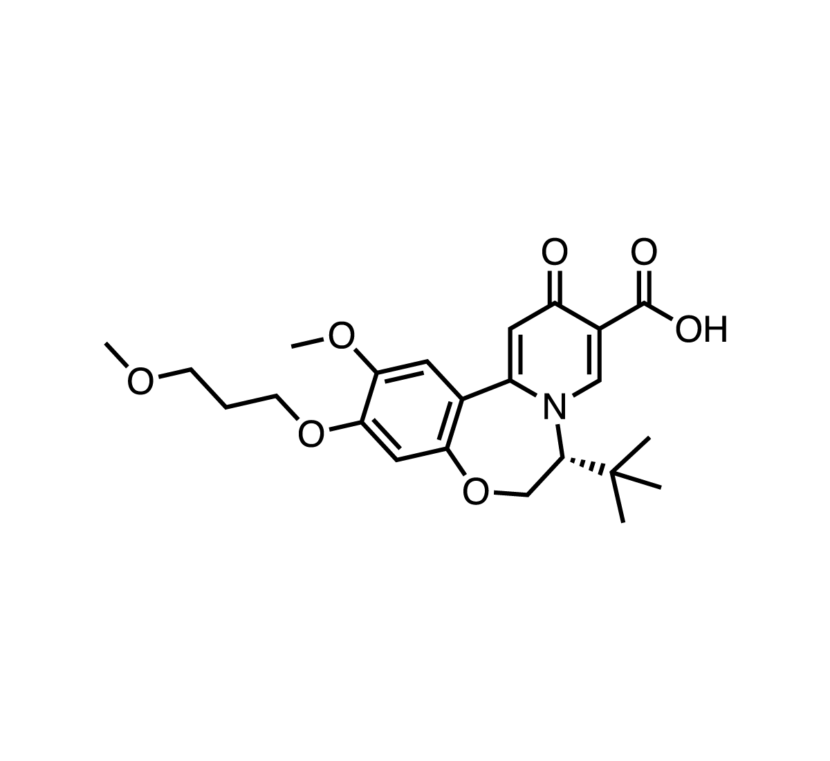 GST-HG131图片