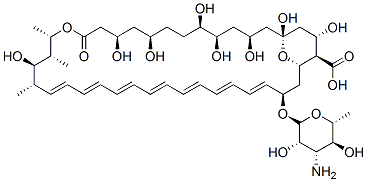 Amphotericin B图片