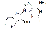 Fludarabine(Fludara)图片
