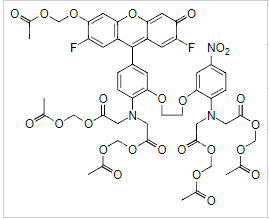 Fluo-5N,AM图片