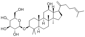 Ginsenoside Rk2图片