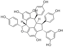 Suffruticosol A图片