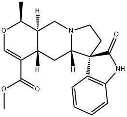 Isomitraphylline图片