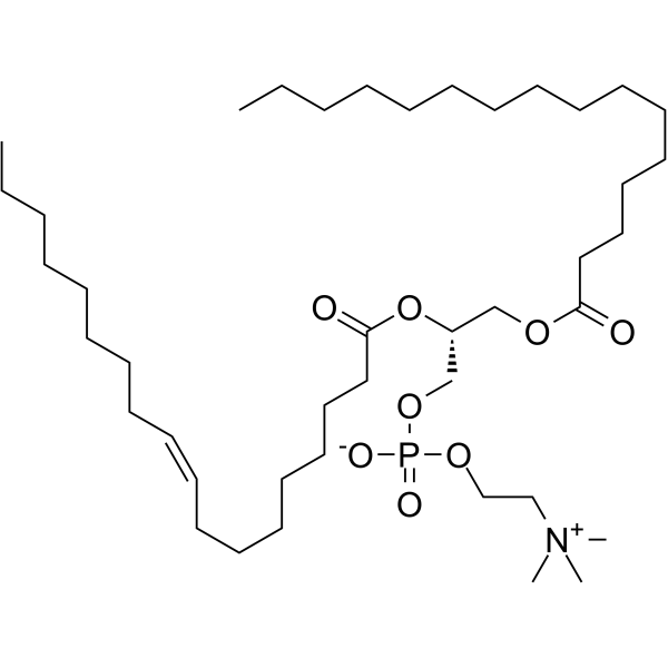 1-Palmitoyl-2-oleoyl-sn-glycero-3-PC图片
