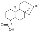 Kaurenoic acid图片