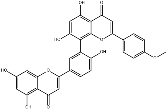 Podocarpusflavone A图片